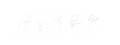 Cyber Skorb!